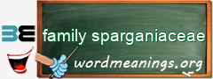WordMeaning blackboard for family sparganiaceae